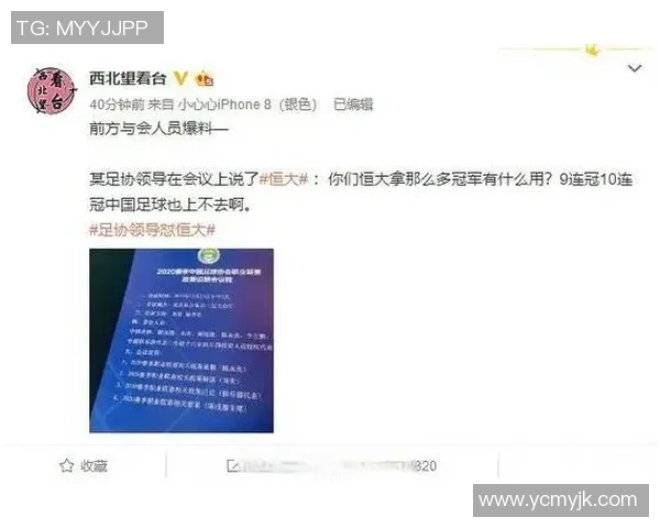 下届领导不喜欢足球